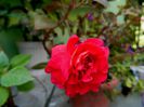 DSCN9711