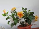 IMG_7891