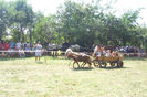 DSCI1921
