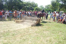 DSCI2001