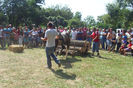 DSCI2002