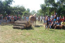 DSCI2009
