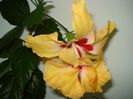 DSC09019