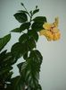 DSC09009