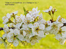 viata-nu-are-subtitrare_a13724e76a7583