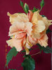 20 august 2013-flori 086