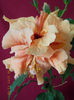20 august 2013-flori 089