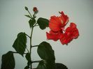 DSC09046