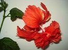 DSC09050