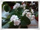 DSCN1401