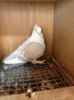Picture 1244