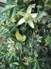 DSC09280
