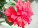 DSCN4910