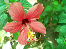 DSCN4913