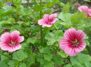DSCN4941