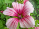 DSCN4943
