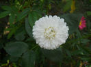 DSCN4951