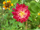 DSCN4953