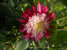 DSCN4955