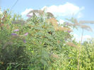 DSCN4963