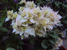 DSC09386