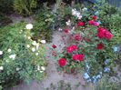 DSC09322
