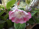 DSCF1493