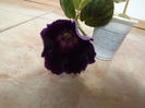 DSCF1497