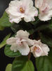 DSCF1349