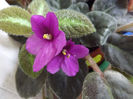 DSCF1495
