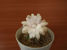 DSCF1321