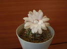DSCF1320