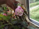 DSCF1386