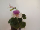 DSCF1314