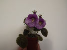 DSCF1441