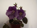 DSCF1443