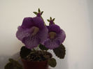 DSCF1444