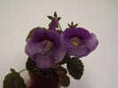 DSCF1445