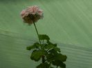 DSCN9860