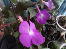 DSCF1469