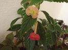 DSCF1478