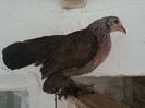 20130822_150429