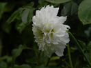 DSCN0089