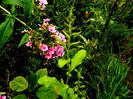 DSCN0097