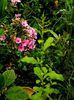 DSCN0098