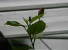 DSCN0113