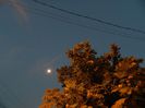 DSCN0172