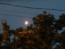 DSCN0184