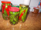 DSCN9772_5225