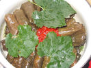 DSCN9736_5189